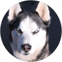 Keira G. profile picture